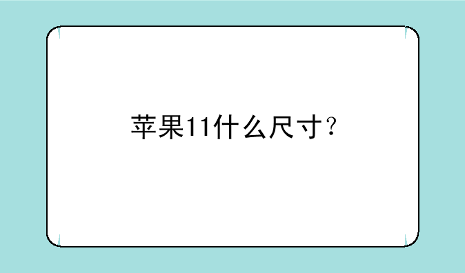 苹果11什么尺寸？