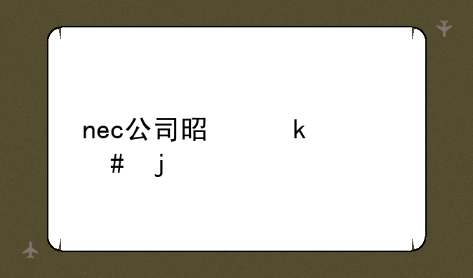 nec公司是做什么的
