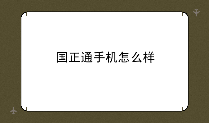 国正通手机怎么样