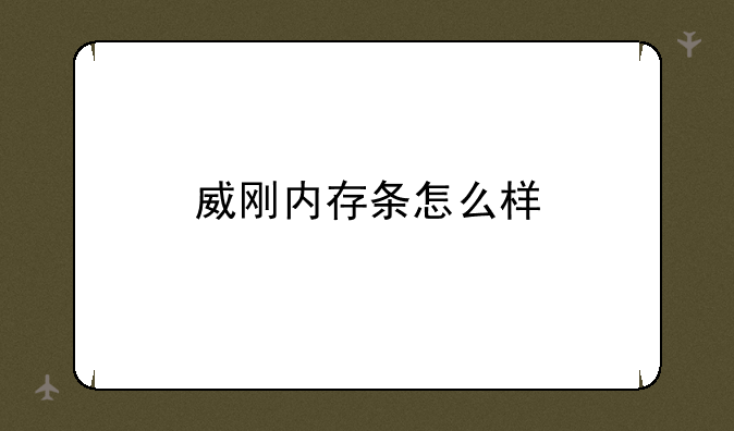 威刚内存条怎么样