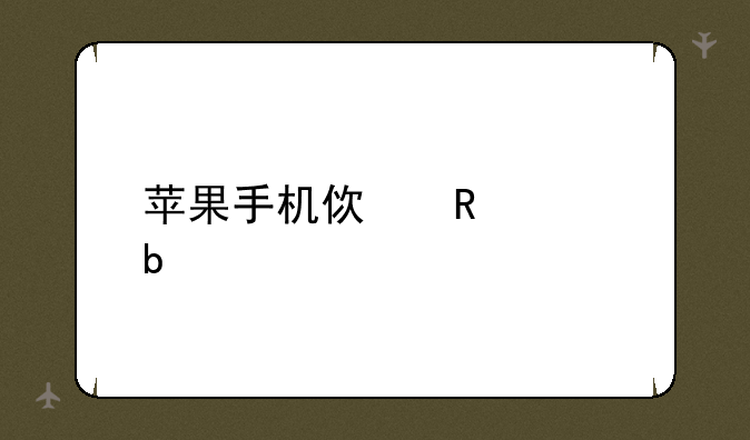 苹果手机使用说明