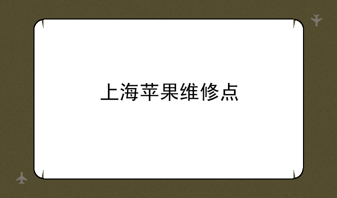 上海苹果维修点