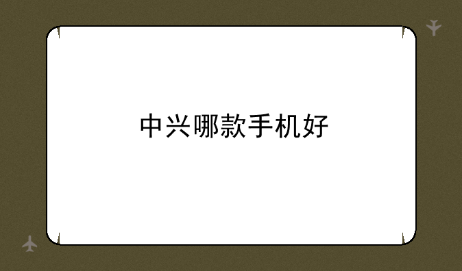 中兴哪款手机好