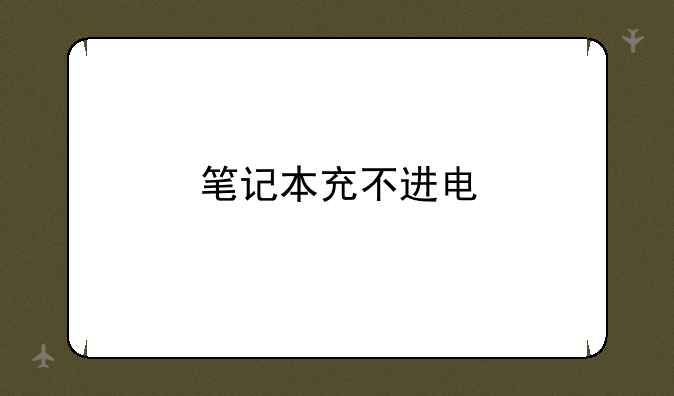 笔记本充不进电