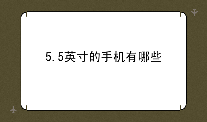5.5英寸的手机有哪些