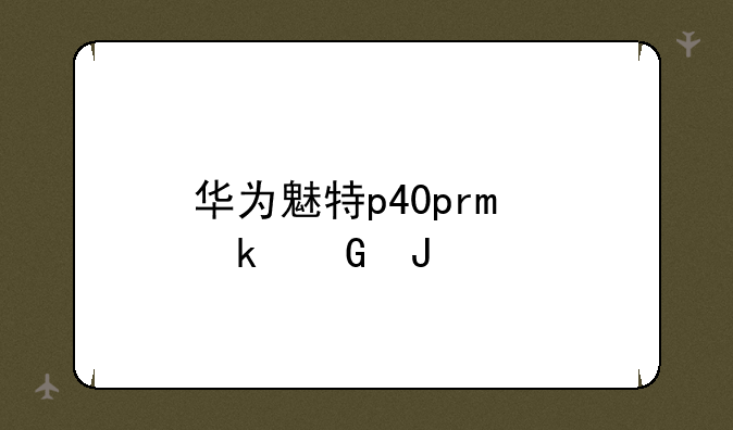 <b>华为魅特p40pro多少钱</b>