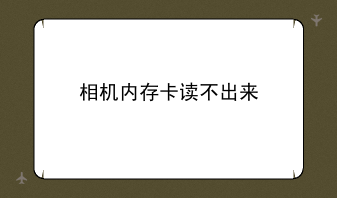 相机内存卡读不出来