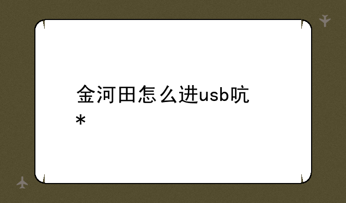 金河田怎么进usb启动