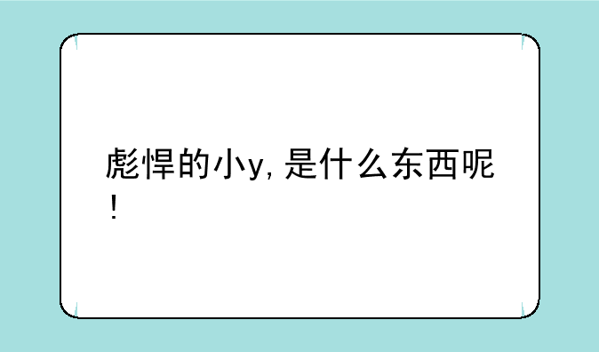 彪悍的小y,是什么东西呢!