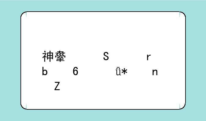 神舟笔记本显卡驱动更新