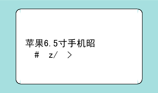 苹果6.5寸手机是什么型号