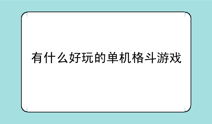有什么好玩的单机格斗游戏