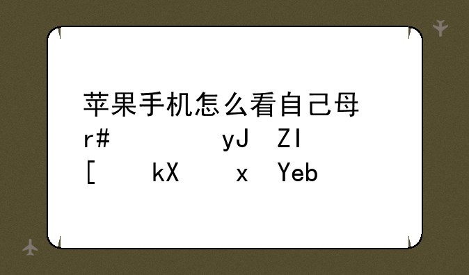 苹果手机怎么看自己每月使用多少流量啊？