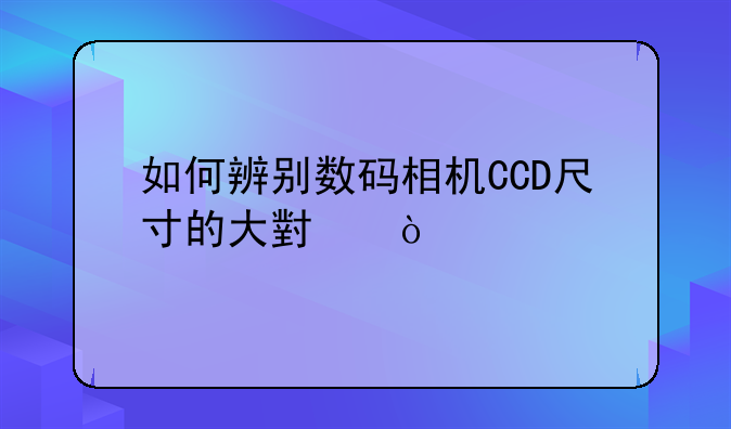 如何辨别数码相机CCD尺寸的大小？