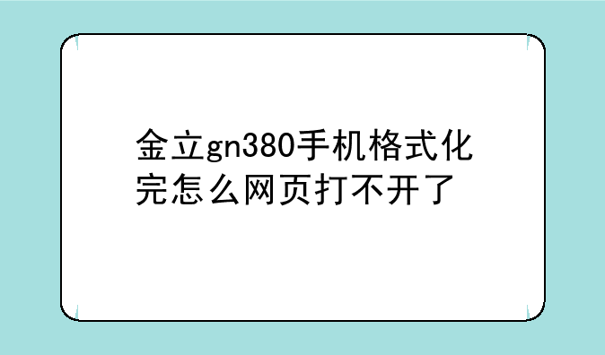 金立gn380手机格式化完怎么网页打不开了