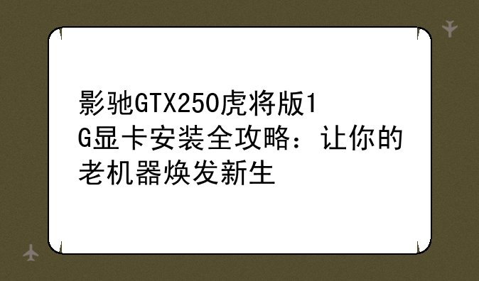影驰GTX250虎将版1G显卡安装全攻略：让你的老机器焕发新生