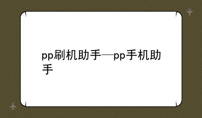 pp刷机助手—pp手机助手