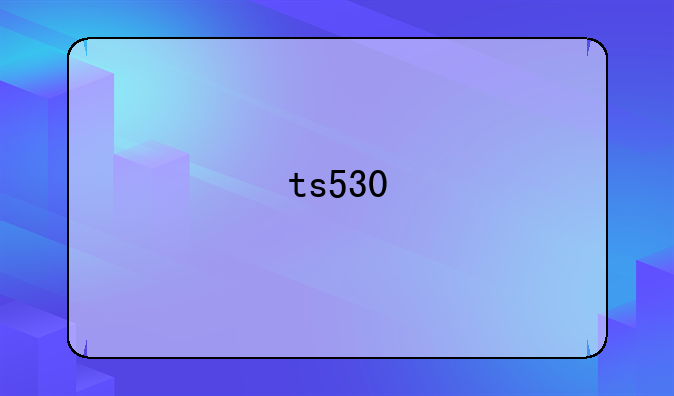 ts530