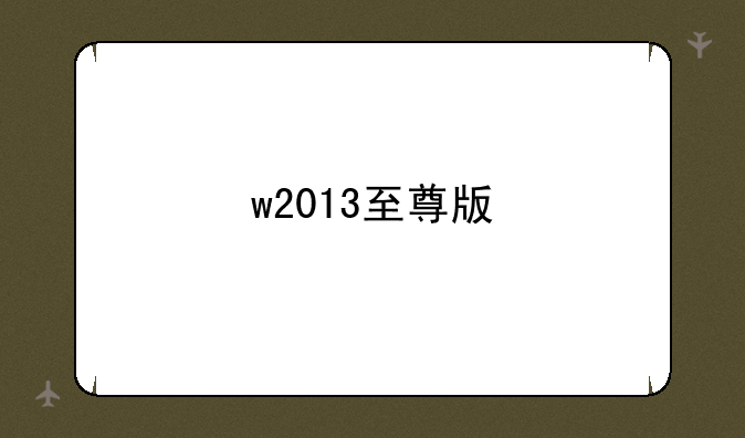 w2013至尊版