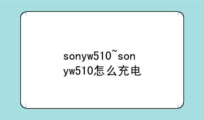 sonyw510~sonyw510怎么充电