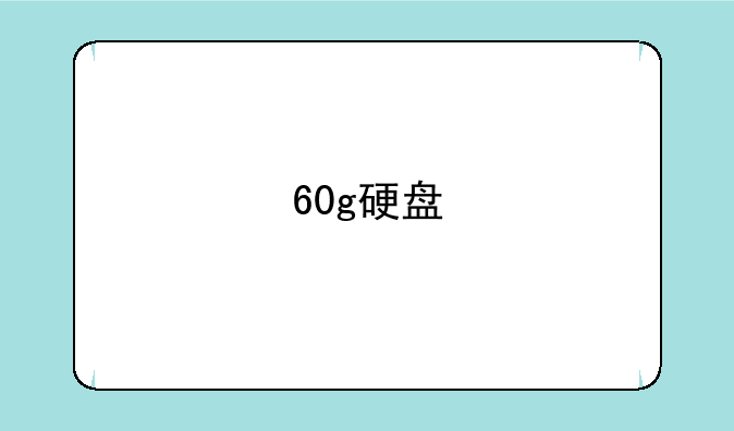 60g硬盘