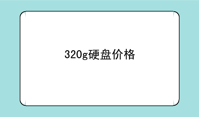 320g硬盘价格