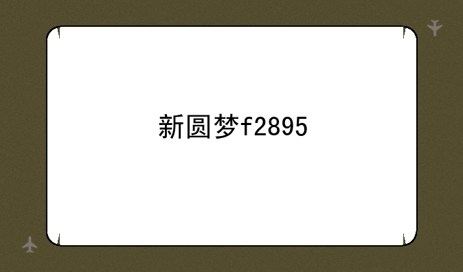 新圆梦f2895
