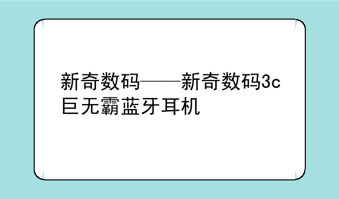 新奇数码——新奇数码3c巨无霸蓝牙耳机