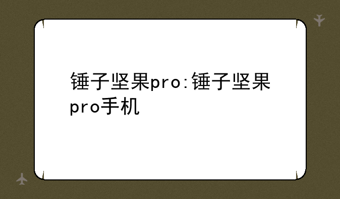 锤子坚果pro:锤子坚果pro手机