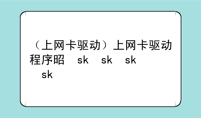 （上网卡驱动）上网卡驱动程序是什么