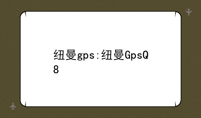 纽曼gps:纽曼GpsQ8
