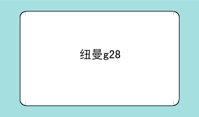 纽曼g28