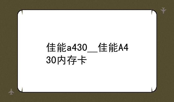 佳能a430__佳能A430内存卡