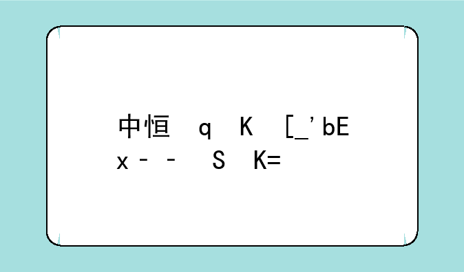 中恒导航仪——中恒导航仪升级