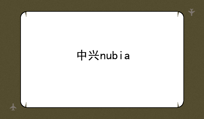 中兴nubia