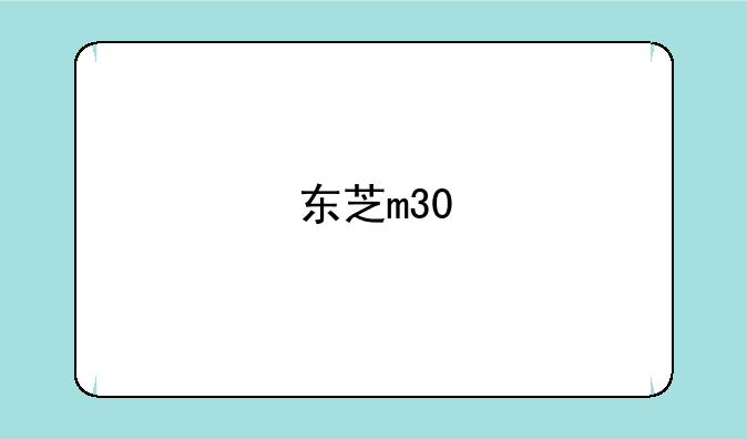 东芝m30