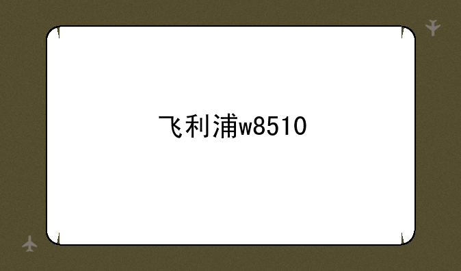 飞利浦w8510