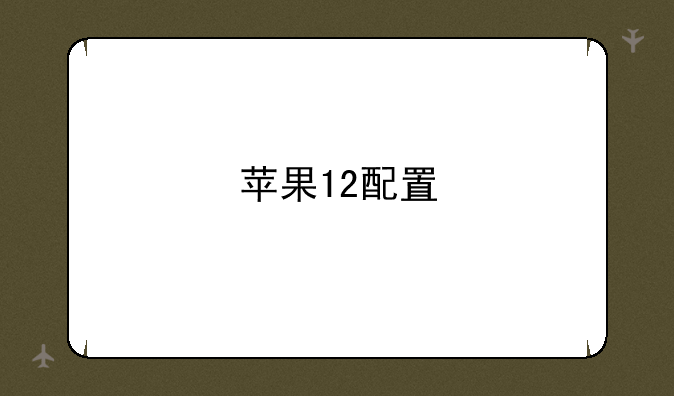 苹果12配置
