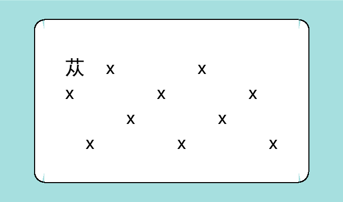 苏宁170