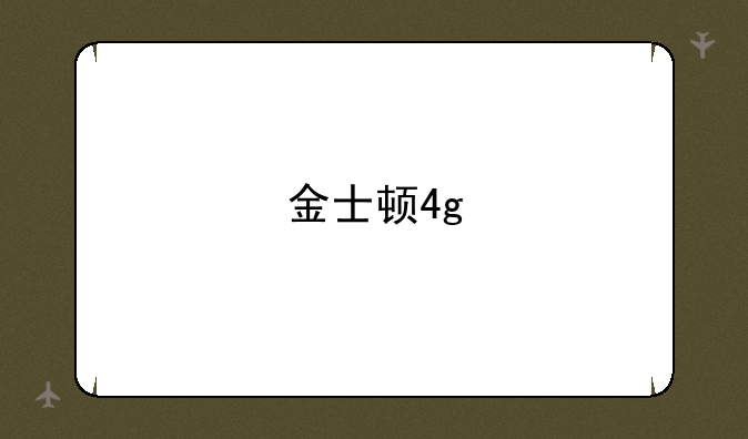金士顿4g