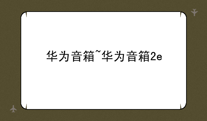 华为音箱~华为音箱2e