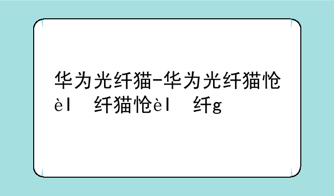 华为光纤猫-华为光纤猫怎么用